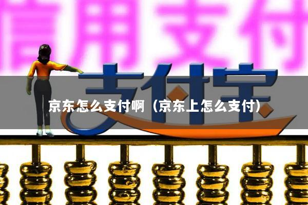 京东怎么支付啊(京东上怎么支付)
