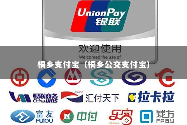 桐乡支付宝(桐乡公交支付宝)