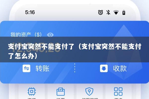 支付宝突然不能支付了(支付宝突然不能支付了怎么办)
