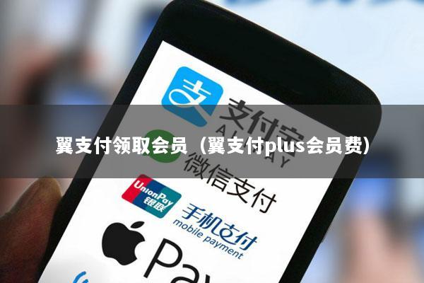 翼支付领取会员(翼支付plus会员费)