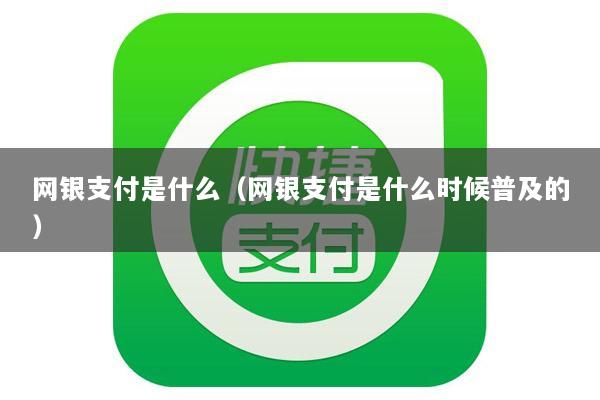网银支付是什么(网银支付是什么时候普及的)
