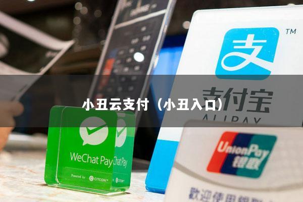 小丑云支付(小丑入口)