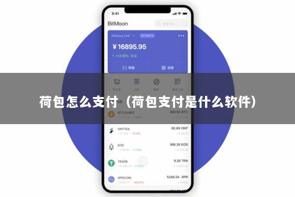 荷包怎么支付(荷包支付是什么软件)