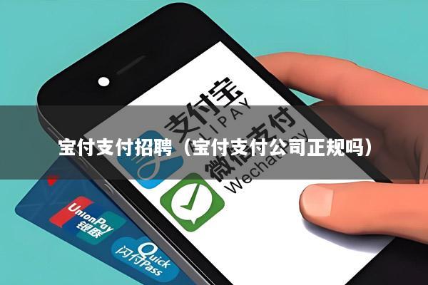宝付支付招聘(宝付支付公司正规吗)