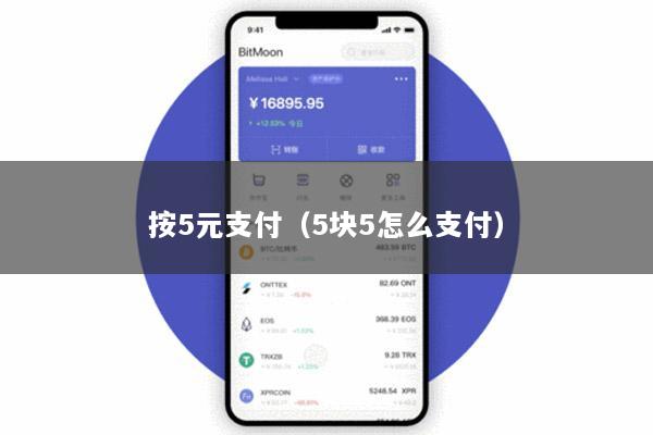 按5元支付(5块5怎么支付)