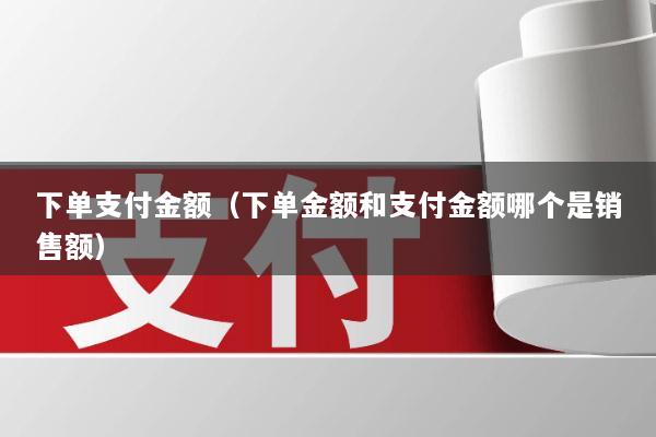 下单支付金额(下单金额和支付金额哪个是销售额)