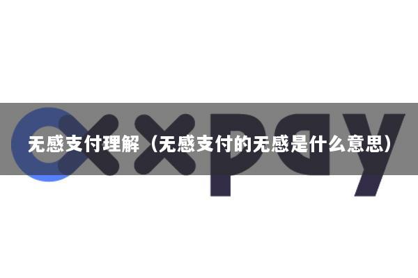 无感支付理解(无感支付的无感是什么意思)