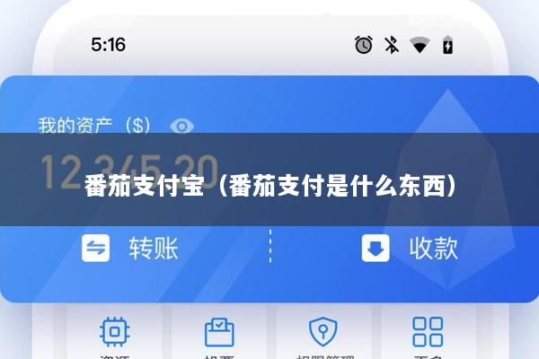 番茄支付宝(番茄支付是什么东西)