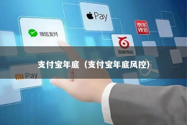 支付宝年底(支付宝年底风控)