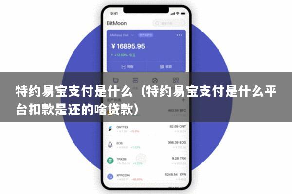 特约易宝支付是什么(特约易宝支付是什么平台扣款是还的啥贷款)