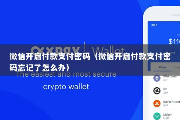 微信开启付款支付密码(微信开启付款支付密码忘记了怎么办)