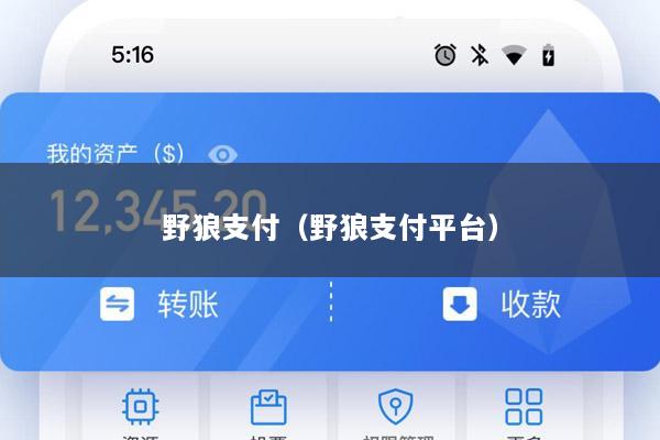 野狼支付(野狼支付平台)