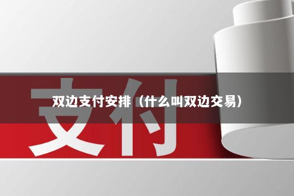 双边支付安排(什么叫双边交易)