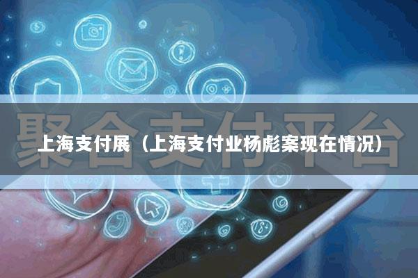 上海支付展(上海支付业杨彪案现在情况)