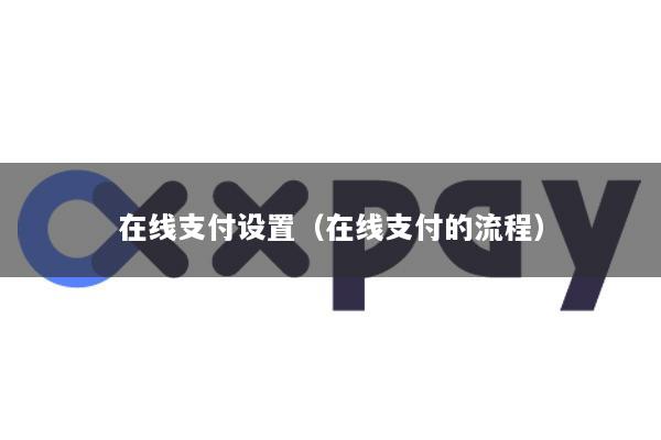 在线支付设置(在线支付的流程)