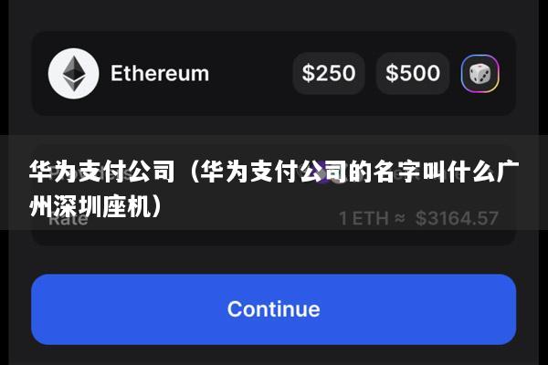 华为支付公司(华为支付公司的名字叫什么广州深圳座机)
