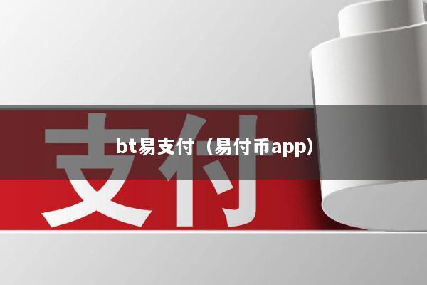 bt易支付(易付币app)