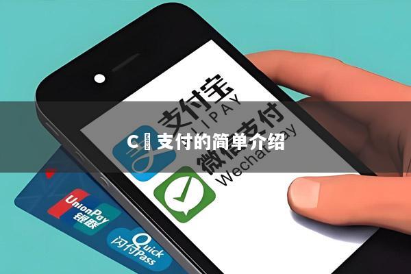 C丅支付的简单介绍
