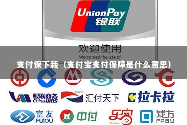 支付保下栽(支付宝支付保障是什么意思)