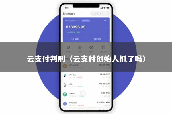云支付判刑(云支付创始人抓了吗)