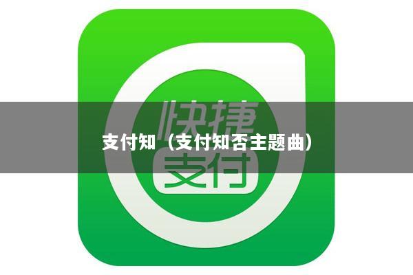 支付知(支付知否主题曲)