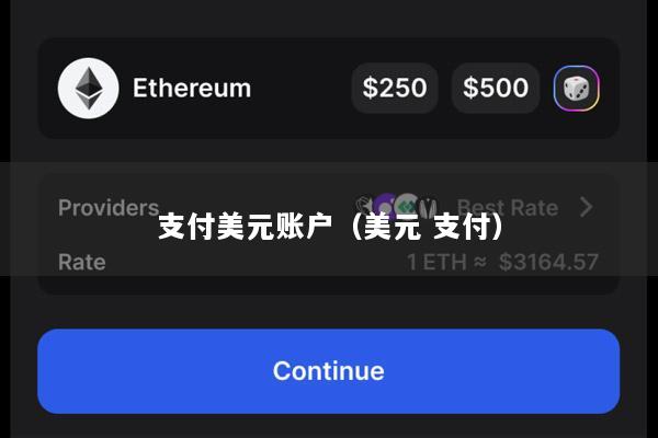 支付美元账户(美元 支付)