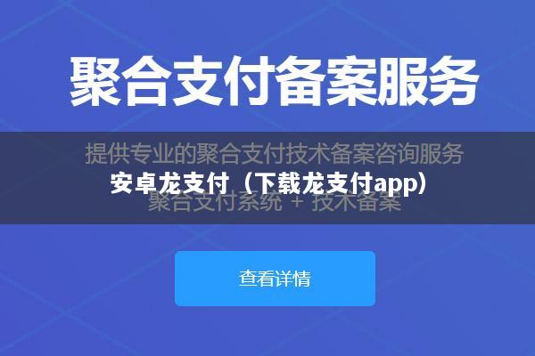 安卓龙支付(下载龙支付app)
