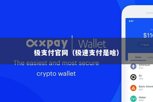 极支付官网(极速支付是啥)