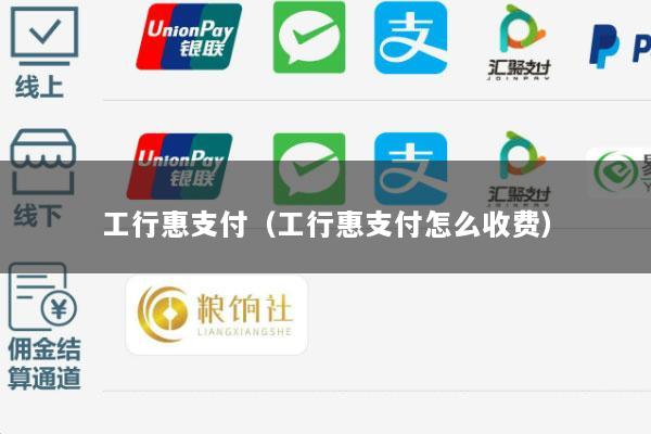 工行惠支付(工行惠支付怎么收费)