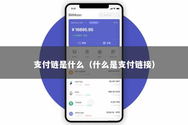 支付链是什么(什么是支付链接)