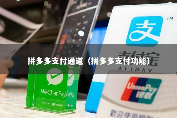 拼多多支付通道(拼多多支付功能)