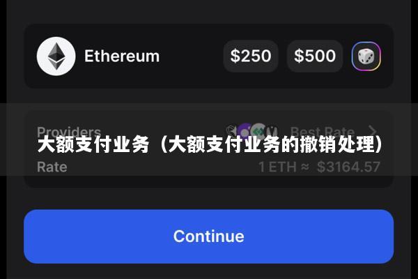 大额支付业务(大额支付业务的撤销处理)