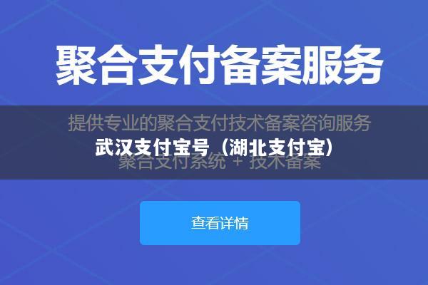 武汉支付宝号(湖北支付宝)