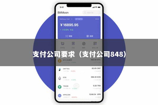 支付公司要求(支付公司848)