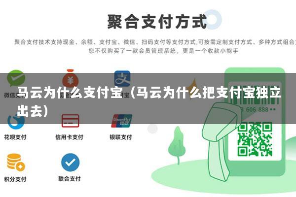 马云为什么支付宝(马云为什么把支付宝独立出去)