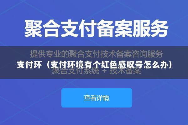 支付环(支付环境有个红色感叹号怎么办)