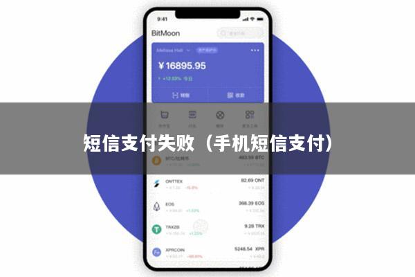 短信支付失败(手机短信支付)