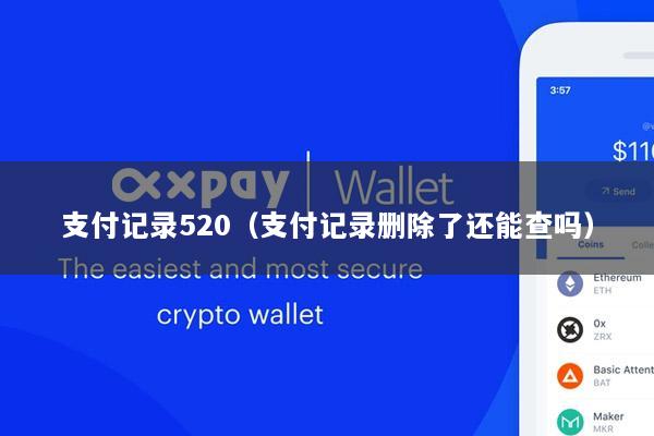 支付记录520(支付记录删除了还能查吗)