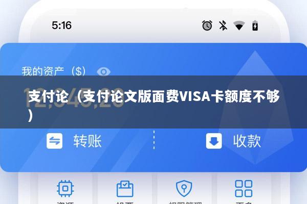 支付论(支付论文版面费VISA卡额度不够)