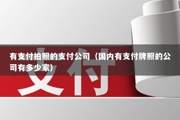 有支付拍照的支付公司(国内有支付牌照的公司有多少家)