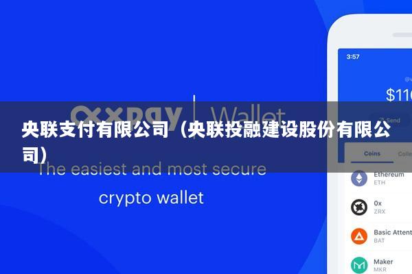 央联支付有限公司(央联投融建设股份有限公司)