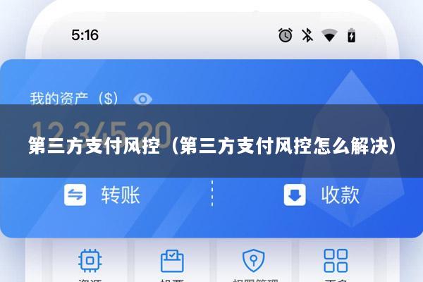 第三方支付风控(第三方支付风控怎么解决)