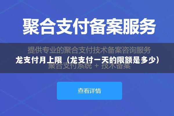 龙支付月上限(龙支付一天的限额是多少)