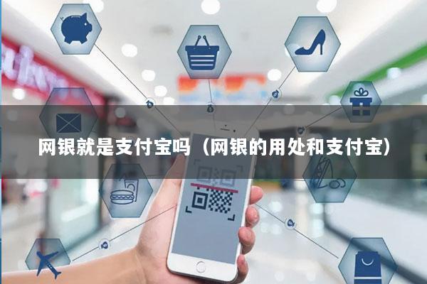网银就是支付宝吗(网银的用处和支付宝)