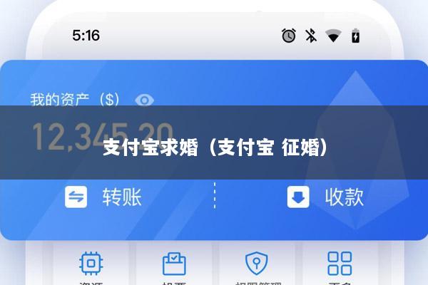 支付宝求婚(支付宝 征婚)