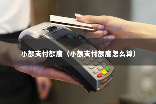 小额支付额度(小额支付额度怎么算)