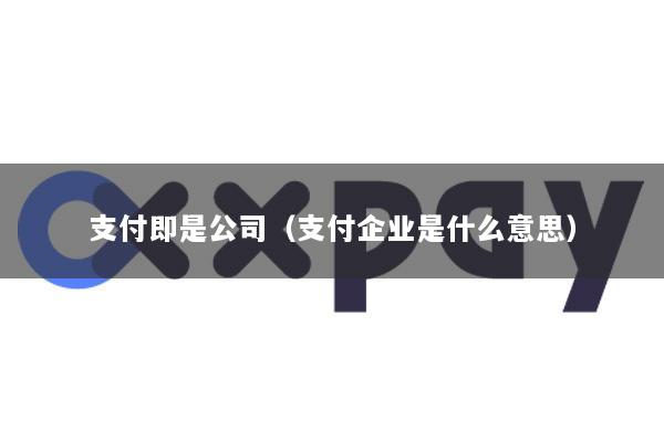 支付即是公司(支付企业是什么意思)