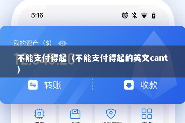 不能支付得起(不能支付得起的英文cant)
