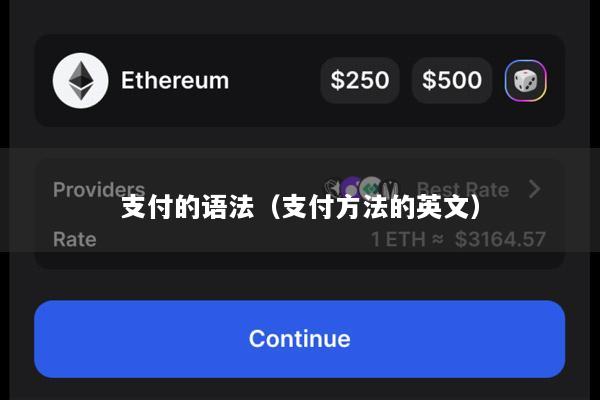 支付的语法(支付方法的英文)