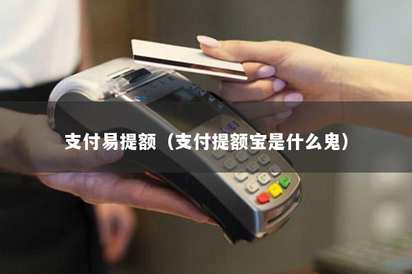 支付易提额(支付提额宝是什么鬼)